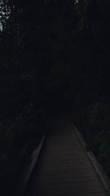 Природа. тёмная тема. Заставка на телефон #заставка #пр смотреть онлайн