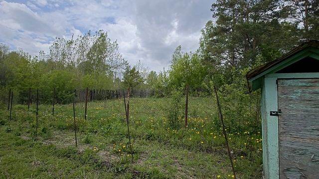 1000058299.mp4 смотреть онлайн