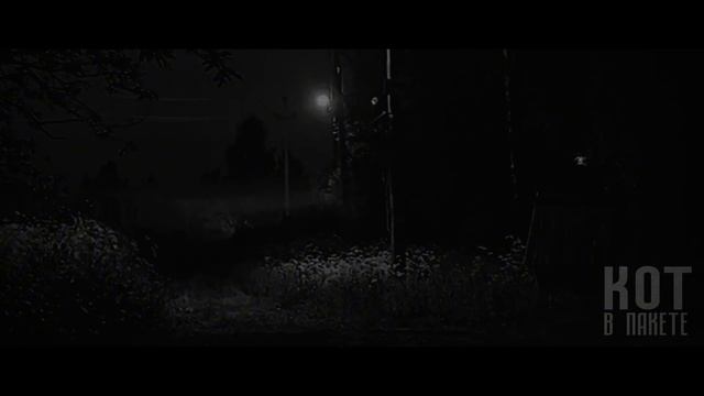 ОНИ ПРИХОДЯТ НОЧЬЮ... Страшные истории на ночь.Страшил?