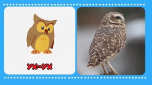 Звукоподражания для детей Запуск речи Логопедические карточки