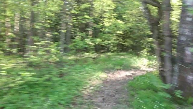 переход под мкад. зверепроход в Лосином Острове. смотреть онлайн