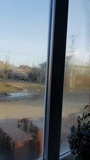 Тихое утро, ночь прошла... С добрым утром ❤️ #орск смотреть онлайн