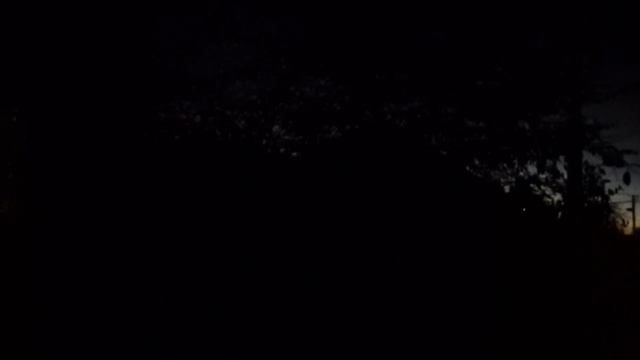 ВЕЧЕР В СЕЛЕ. КАК БЫСТРО ТЕМНЕЕТ! ВОТ КАКОЙ ДОМОСЕД! РО? смотреть онлайн