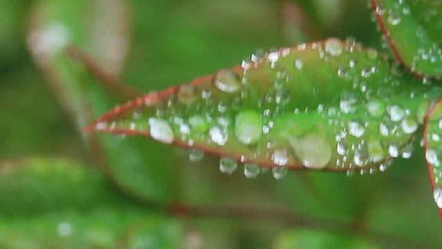 Мерцающие релакс-капли