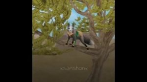 Подборка вилд крафт Тик Ток#часть 2