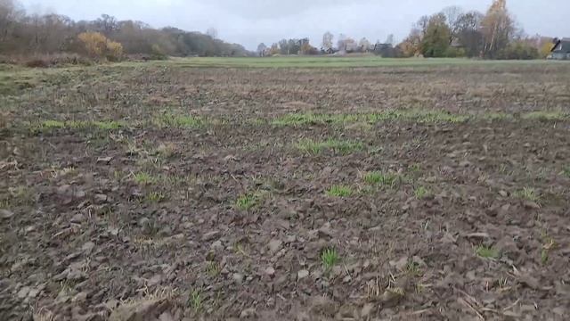 Коп длинною 2 месяца! Поиск монет с металлоискателем смотреть онлайн