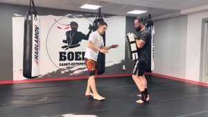 Тренировка № 1 (силовые одиночные удары ногами)