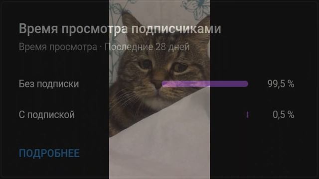 Поставили раком +$екс на стриме😍😍😍 смотреть онлайн