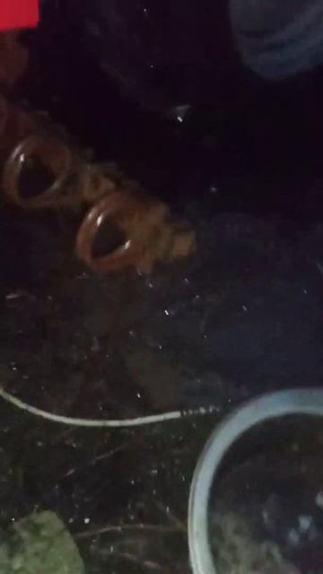 передний ряд пружин на культиватор смотреть онлайн