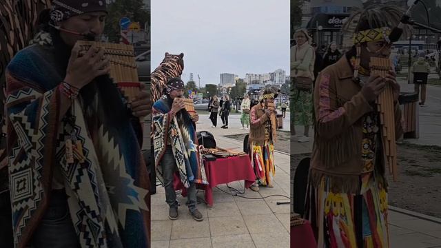 Pastor Solitairio/Одинокий пастух @yarik-ecuador1515 10.2024.Владивосток смотреть онлайн