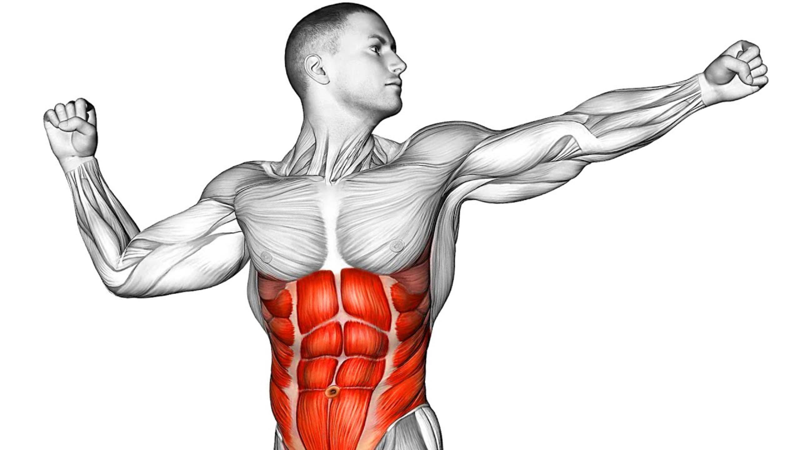 6-минутная Планка чтобы набрать 6 Кубиков Пресса смотреть онлайн