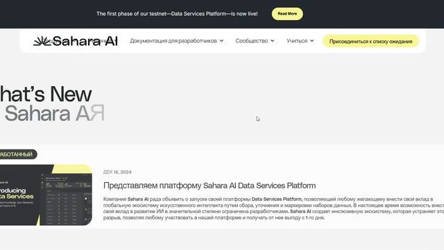 Sahara AI Token — отзывы про криптовалютный токен. Развод?