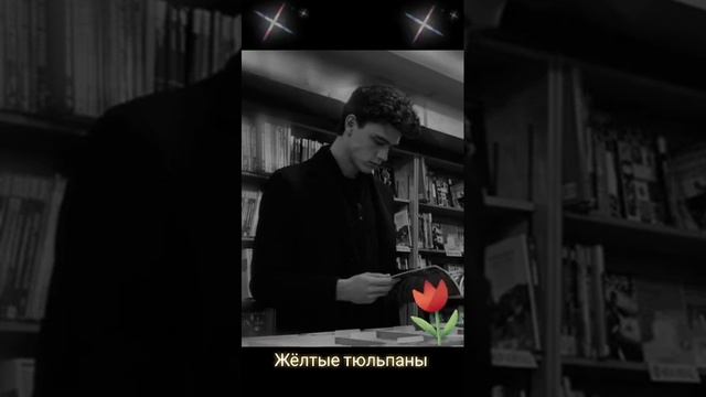 Жёлтые тюльпаны  Автор и исполнитель: Владимир Курочк?