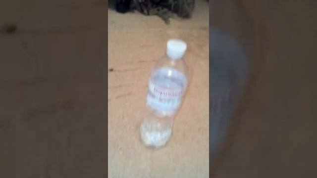 Пытаюсь закинуть мяч на кровать + батол флик челендд смотреть онлайн