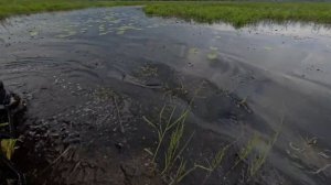 ВЕЗДЕХОД С ДВИГАТЕЛЕМ ОТ КВАДРОЦИКЛА! БОРТОПОВОРТНЫЙ