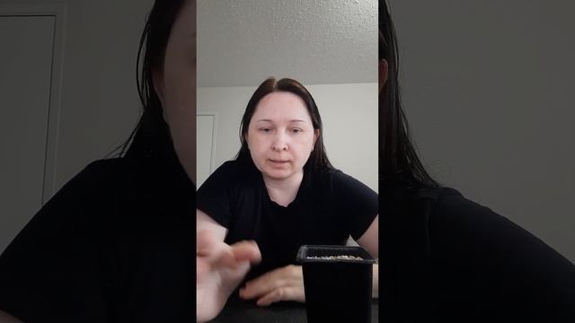 Полив суккулентов хавортий