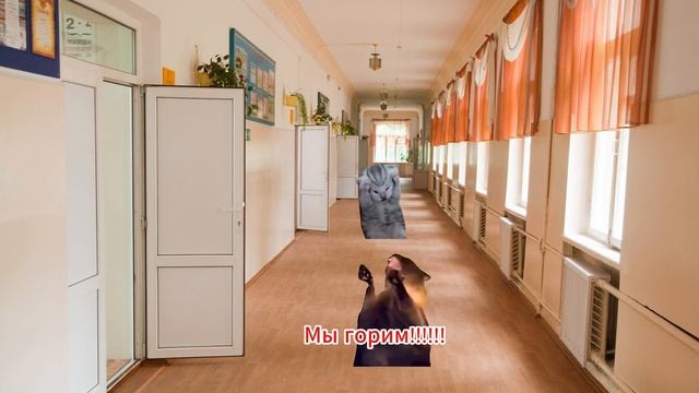 ПОВ: Учебная тр!воga в школе #кот #мемы #смех #юмор #shorts смотреть онлайн