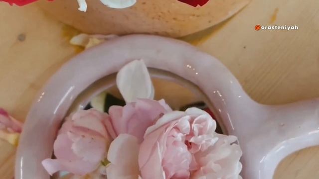 Horticultural Havens