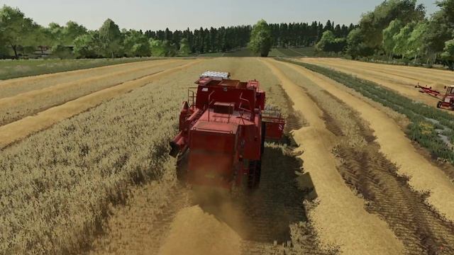 Уборка пшеницы(Wheat harvesting) [don1500,mtz,t25] #farmingsimulator22 #gaming #farmin смотреть онлайн