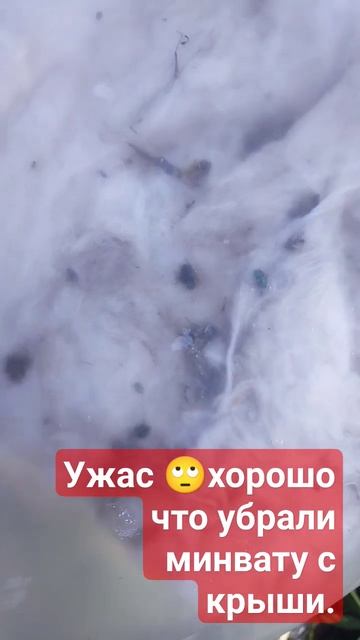 Ужас 😰 первый раз вижу #крыша #стройка #shorts #утеплител? смотреть онлайн