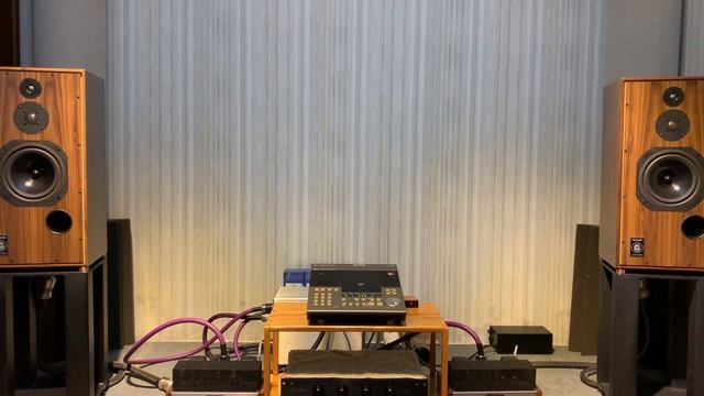 Harbeth super hl5 plus. Stevie Ray Vaughan-Tin Pan Alley смотреть онлайн