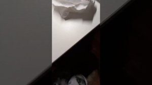 Мои 2, но 1 автономные очки vr "pico neo 3" Обзор просто имба!!!!