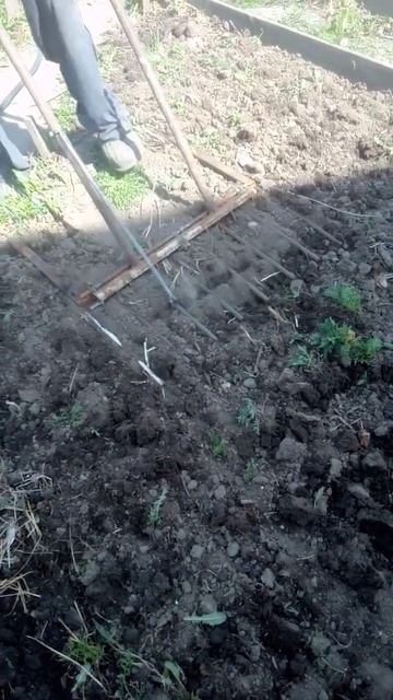 своими руками+цветники+моя живность)(3в1) смотреть онлайн