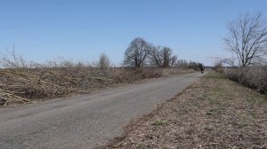 Купив мотоцикл TVS 150