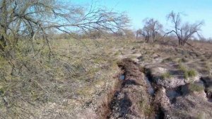 квадроцикл zongshen 4 х 4 обкатка по болотам