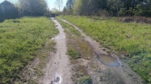 В ЭТОЙ СКАЗОЧНОЙ СТРАНЕ...