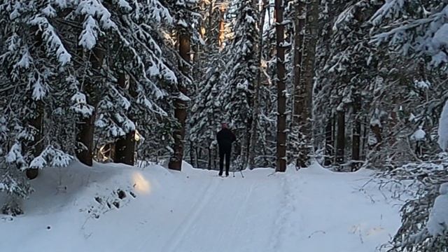 Как кататься на лыжах в мороз. Как не отморозить жопу на лыжне. смотреть онлайн