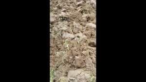 Плуг универсальный (часть 2).