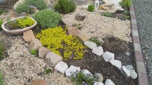 Прогулка по майскому саду! Как подросли мои растения👌