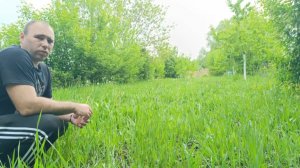 ВОТ ЭТО СВИНСТВО,Я ВОЗМУЩЕНА/ДЕЛАЕМ КАЛИТКУ И СТРОИМ ЗАГОН ДЛЯ ХОЗЯЙСТВА/