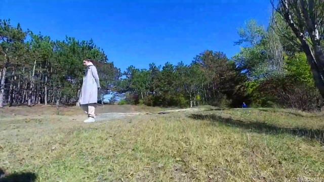 Currus r11 pro Осенняя прогулка по лесу!!))) Солнце, тепло и се? смотреть онлайн