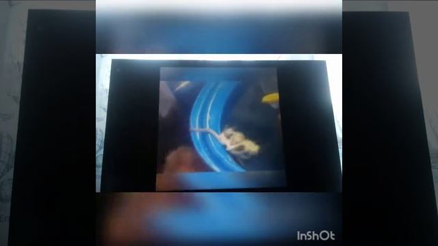 Самые смешные видео из реальной жизни смотреть онлайн