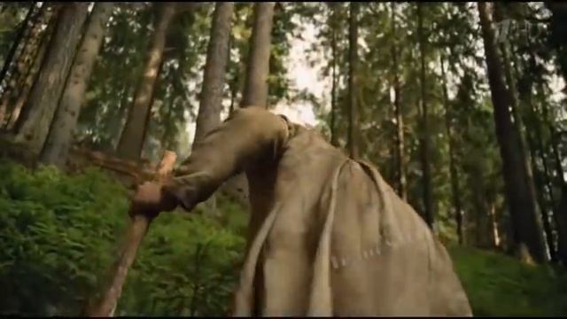 Звезды. Медийные личности. Приколы. смотреть онлайн