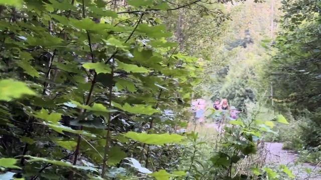 Зеленоград, старичковая покатушка. 3 августа 2024