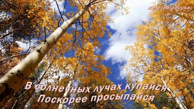 Доброе утро смотреть онлайн