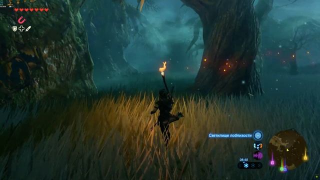 The Legend of Zelda Breath of the Wild || Затерянный Лес Гайд|| Lost Woods Guide ||