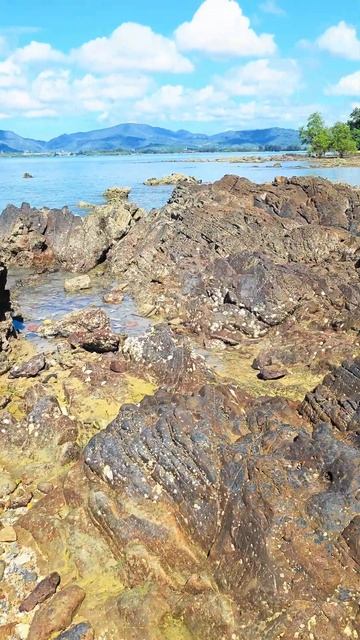 Кирпич обработанный морем#кирпич #море #пляж смотреть онлайн