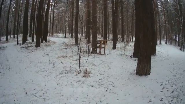 Ролик от Еретнова В. Б.  Счастливого Рождества мои друз