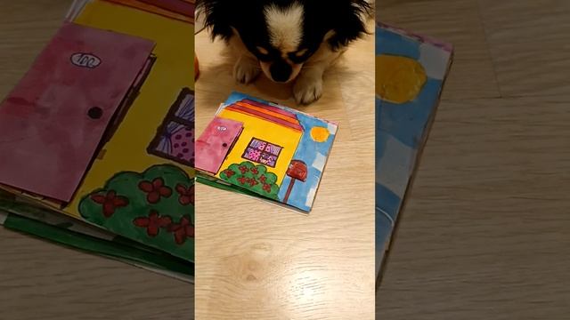 Домик с Люсей! 🐶☺