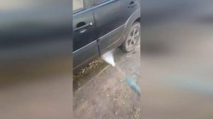 Мойка высокого давления GreenWorks GPWG5II