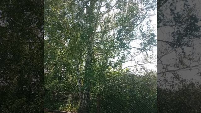 Видео - Автор Люба Фазиулина песня Матушка Земля посвя