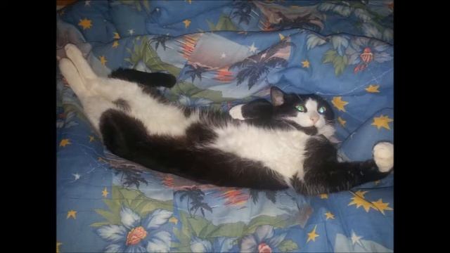 Люби меня нежно. смотреть онлайн