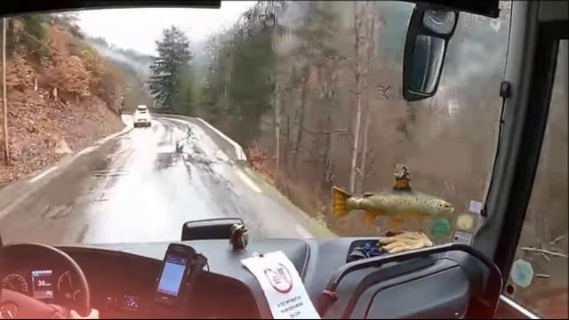 В брачную ночь я сидела, накрывшись вуалью, и пережива?