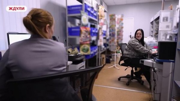 ЖДУЛИ | 3 СЕЗОН | 6 ВЫПУСК