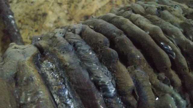 Ресанта САИ 220 - отлично!