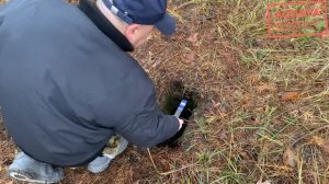 #minelabxterraelite  Х Терра Элит с датчиком 15/12 . Имеет ли разме?